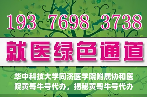 华中科技大学同济医学院附属协和医院黄哥牛号代办，揭秘黄哥牛号代办背后的故事，华中科技大学同济医学院附属协和医院就医新途径探索