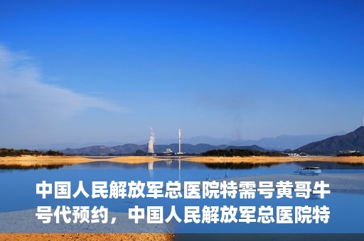中国人民解放军总医院特需号黄哥牛号代预约，中国人民解放军总医院特需号专家预约服务解析，黄哥牛号预约详解