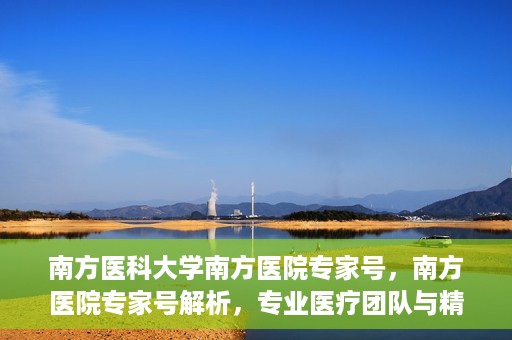 南方医科大学南方医院专家号，南方医院专家号解析，专业医疗团队与精准诊疗服务