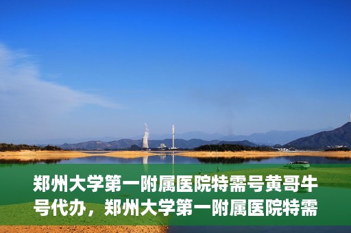 郑州大学第一附属医院特需号黄哥牛号代办，郑州大学第一附属医院特需号名医黄哥牛号预约代办服务解析