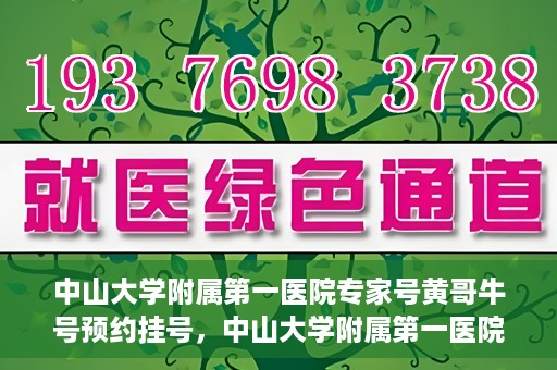 中山大学附属第一医院专家号黄哥牛号预约挂号，中山大学附属第一医院专家黄哥牛号预约攻略，一站式挂号解析