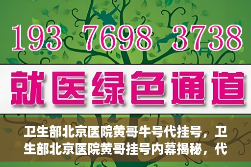 卫生部北京医院黄哥牛号代挂号，卫生部北京医院黄哥挂号内幕揭秘，代挂号背后的故事
