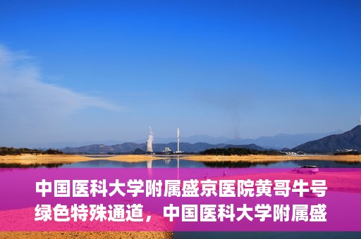 中国医科大学附属盛京医院黄哥牛号绿色特殊通道，中国医科大学附属盛京医院黄哥牛号，绿色特殊通道开启健康之门