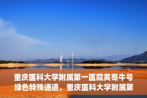 重庆医科大学附属第一医院黄哥牛号绿色特殊通道，重庆医科大学附属第一医院黄哥牛号绿色特殊通道，就医新选择