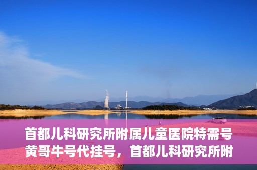 首都儿科研究所附属儿童医院特需号黄哥牛号代挂号，首都儿科研究所附属儿童医院特需号‘黄哥牛号’代挂号服务解析