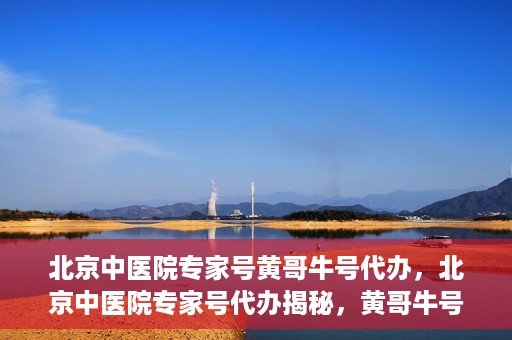 北京中医院专家号黄哥牛号代办，北京中医院专家号代办揭秘，黄哥牛号背后的故事