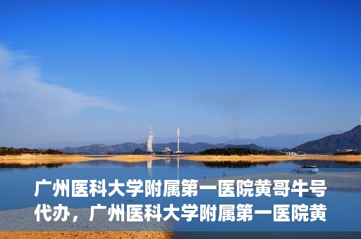 广州医科大学附属第一医院黄哥牛号代办，广州医科大学附属第一医院黄哥牛号挂号代办攻略