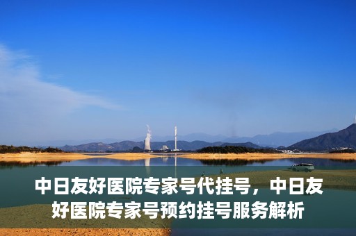 中日友好医院专家号代挂号，中日友好医院专家号预约挂号服务解析