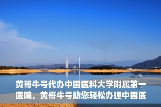 黄哥牛号代办中国医科大学附属第一医院，黄哥牛号助您轻松办理中国医科大学附属第一医院事务。