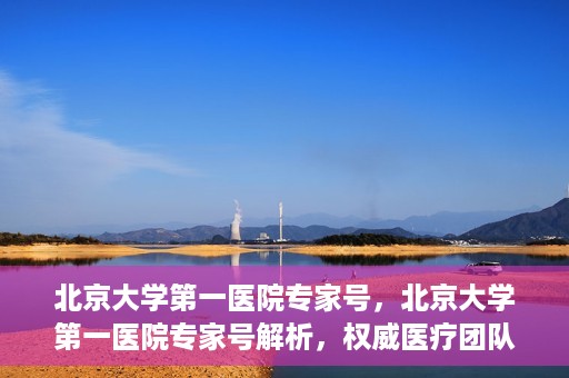 北京大学第一医院专家号，北京大学第一医院专家号解析，权威医疗团队的专业解读与诊疗之道