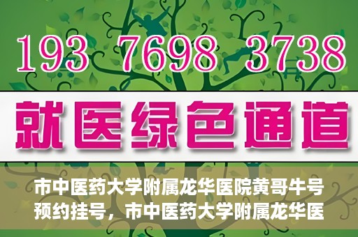 市中医药大学附属龙华医院黄哥牛号预约挂号，市中医药大学附属龙华医院黄哥牛号预约挂号攻略揭秘