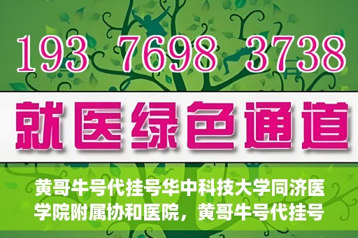 黄哥牛号代挂号华中科技大学同济医学院附属协和医院，黄哥牛号代挂号服务亮相华中科技大学同济医学院附属协和医院