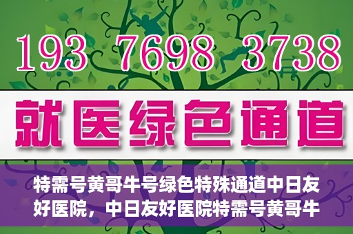 特需号黄哥牛号绿色特殊通道中日友好医院，中日友好医院特需号黄哥牛号绿色特殊通道揭秘