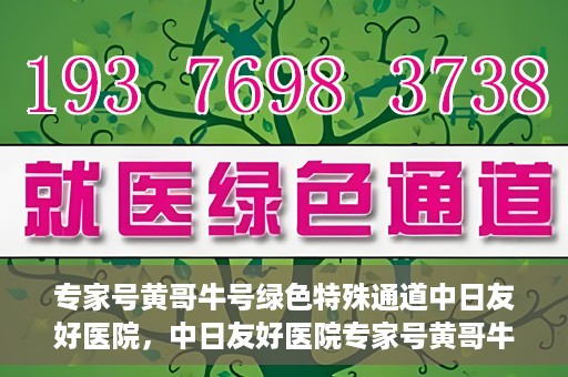 专家号黄哥牛号绿色特殊通道中日友好医院，中日友好医院专家号黄哥牛号开启绿色特殊通道，助力健康中日交流新篇章