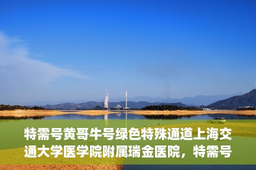 特需号黄哥牛号绿色特殊通道上海交通大学医学院附属瑞金医院，特需号黄哥牛号，瑞金医院的绿色特殊通道探索