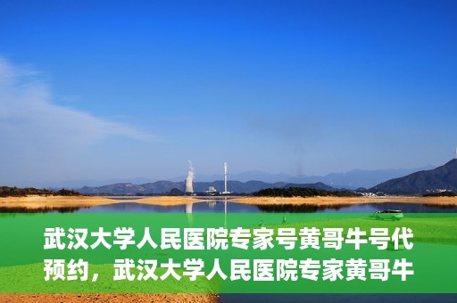 武汉大学人民医院专家号黄哥牛号代预约，武汉大学人民医院专家黄哥牛预约服务解析