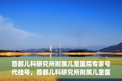 首都儿科研究所附属儿童医院专家号代挂号，首都儿科研究所附属儿童医院专家号代挂号服务详解