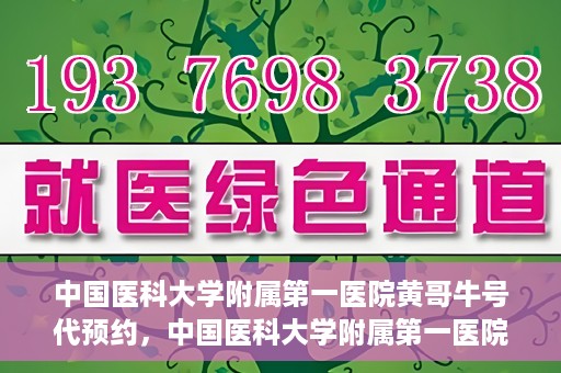 中国医科大学附属第一医院黄哥牛号代预约，中国医科大学附属第一医院黄哥牛号预约服务详解
