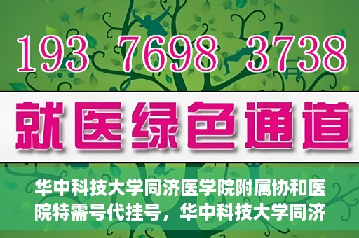 华中科技大学同济医学院附属协和医院特需号代挂号，华中科技大学同济医学院附属协和医院特需号源代挂号服务解析