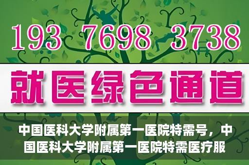中国医科大学附属第一医院特需号，中国医科大学附属第一医院特需医疗服务介绍
