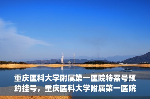 重庆医科大学附属第一医院特需号预约挂号，重庆医科大学附属第一医院特需号预约挂号指南