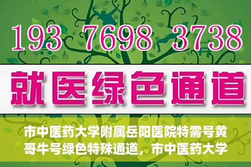 市中医药大学附属岳阳医院特需号黄哥牛号绿色特殊通道，市中医药大学附属岳阳医院黄哥牛号特需绿色就医通道揭秘