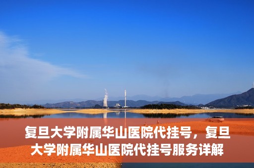 复旦大学附属华山医院代挂号，复旦大学附属华山医院代挂号服务详解