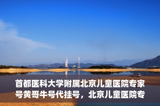 首都医科大学附属北京儿童医院专家号黄哥牛号代挂号，北京儿童医院专家黄哥牛号代挂号解析，专业医疗服务的深度解读