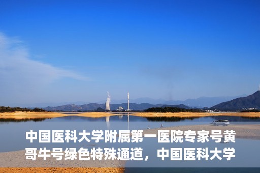 中国医科大学附属第一医院专家号黄哥牛号绿色特殊通道，中国医科大学附属第一医院专家号黄哥牛号，绿色特殊通道的医学力量
