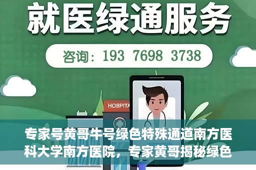 专家号黄哥牛号绿色特殊通道南方医科大学南方医院，专家黄哥揭秘绿色特殊通道，南方医科大学南方医院的深度探索