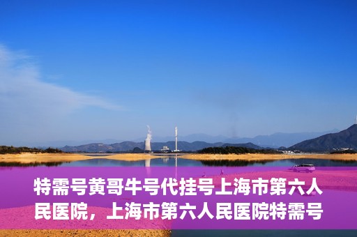 特需号黄哥牛号代挂号上海市第六人民医院，上海市第六人民医院特需号黄哥牛号代挂号服务解析