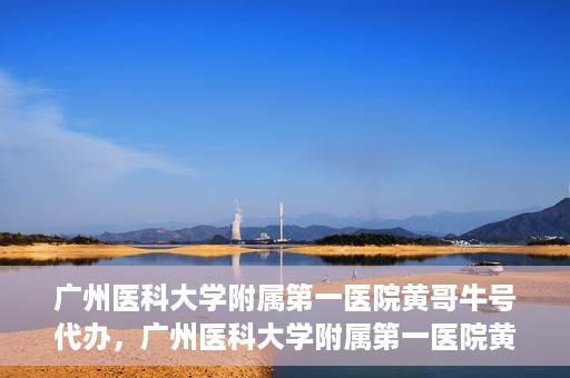 广州医科大学附属第一医院黄哥牛号代办，广州医科大学附属第一医院黄哥牛号挂号代办攻略