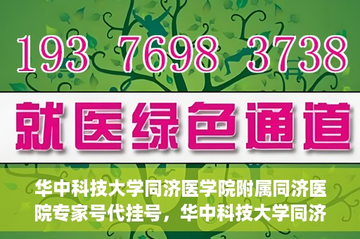 华中科技大学同济医学院附属同济医院专家号代挂号，华中科技大学同济医院专家号代挂号服务解析