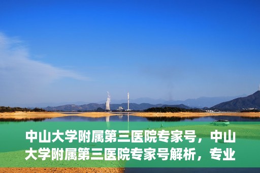 中山大学附属第三医院专家号，中山大学附属第三医院专家号解析，专业医疗团队为您的健康保驾护航