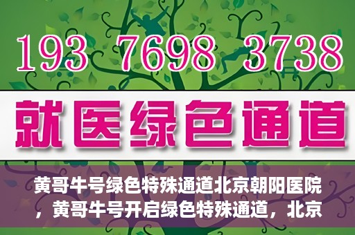 黄哥牛号绿色特殊通道北京朝阳医院，黄哥牛号开启绿色特殊通道，北京朝阳医院助力健康之路