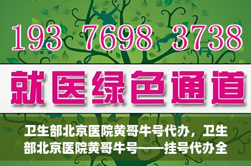 卫生部北京医院黄哥牛号代办，卫生部北京医院黄哥牛号——挂号代办全攻略