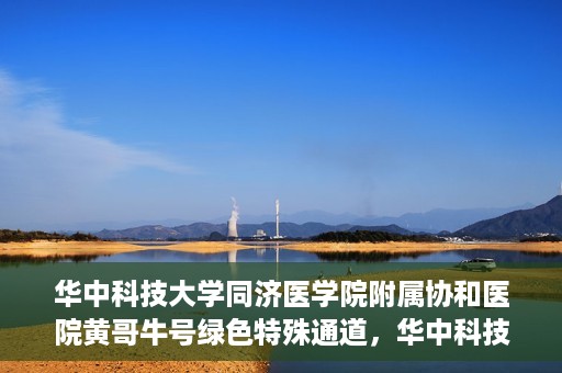 华中科技大学同济医学院附属协和医院黄哥牛号绿色特殊通道，华中科技大学同济医学院附属协和医院黄哥牛号绿色就医特殊通道揭秘