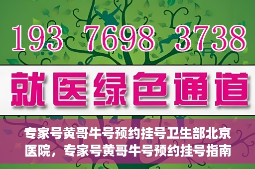 专家号黄哥牛号预约挂号卫生部北京医院，专家号黄哥牛号预约挂号指南，北京医院卫生部挂号攻略