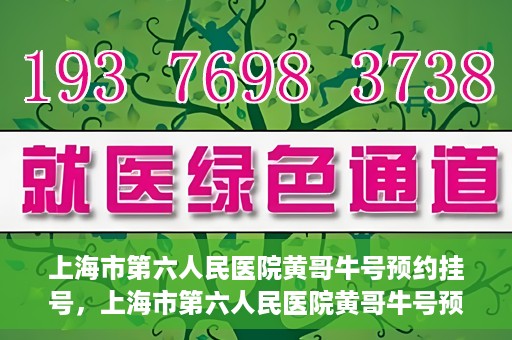 上海市第六人民医院黄哥牛号预约挂号，上海市第六人民医院黄哥牛号预约挂号攻略，轻松挂号，便捷就医体验