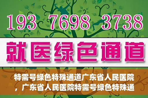 特需号绿色特殊通道广东省人民医院，广东省人民医院特需号绿色特殊通道服务解析