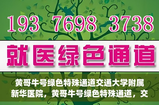 黄哥牛号绿色特殊通道交通大学附属新华医院，黄哥牛号绿色特殊通道，交通大学附属新华医院的探索与实践