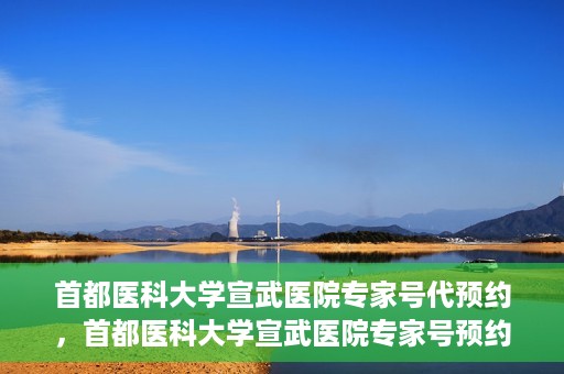 首都医科大学宣武医院专家号代预约，首都医科大学宣武医院专家号预约代办服务解析
