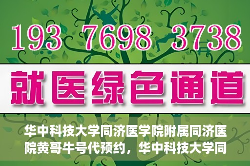 华中科技大学同济医学院附属同济医院黄哥牛号代预约，华中科技大学同济医院黄哥牛号预约服务解析