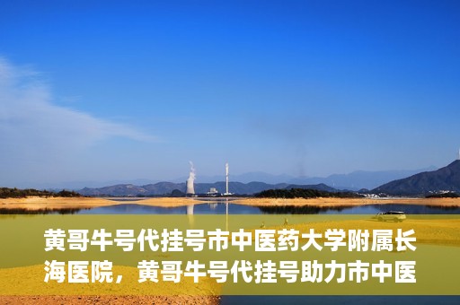 黄哥牛号代挂号市中医药大学附属长海医院，黄哥牛号代挂号助力市中医药大学附属长海医院就医体验升级