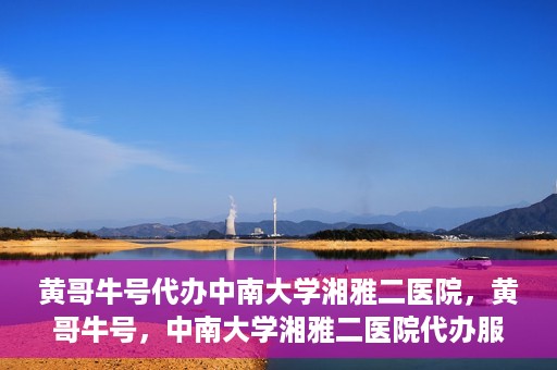 黄哥牛号代办中南大学湘雅二医院，黄哥牛号，中南大学湘雅二医院代办服务详解