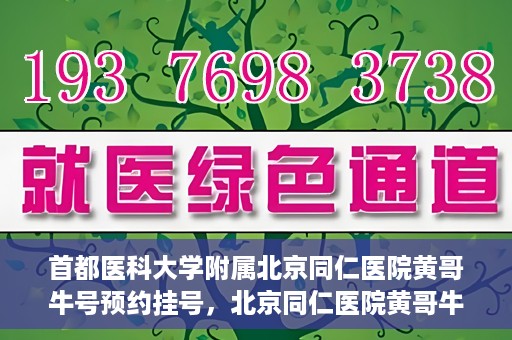 首都医科大学附属北京同仁医院黄哥牛号预约挂号，北京同仁医院黄哥牛号预约挂号攻略，专业医疗服务的便捷通道