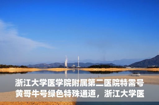 浙江大学医学院附属第二医院特需号黄哥牛号绿色特殊通道，浙江大学医学院附属第二医院特需号黄哥牛号，绿色就医通道揭秘