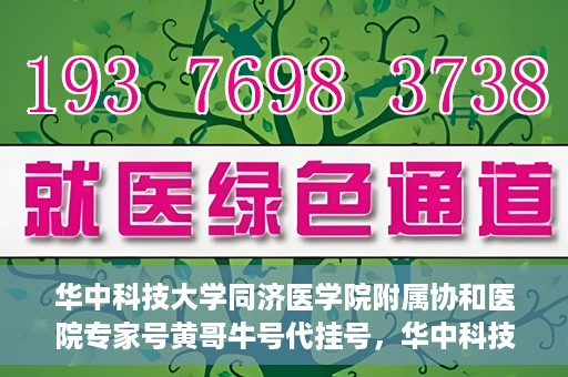 华中科技大学同济医学院附属协和医院专家号黄哥牛号代挂号，华中科技大学同济医学院附属协和医院专家号代挂号揭秘，黄哥牛号背后的故事