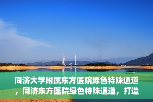 同济大学附属东方医院绿色特殊通道，同济东方医院绿色特殊通道，打造健康之路的新篇章