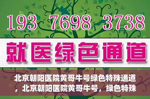 北京朝阳医院黄哥牛号绿色特殊通道，北京朝阳医院黄哥牛号，绿色特殊通道开启健康之门